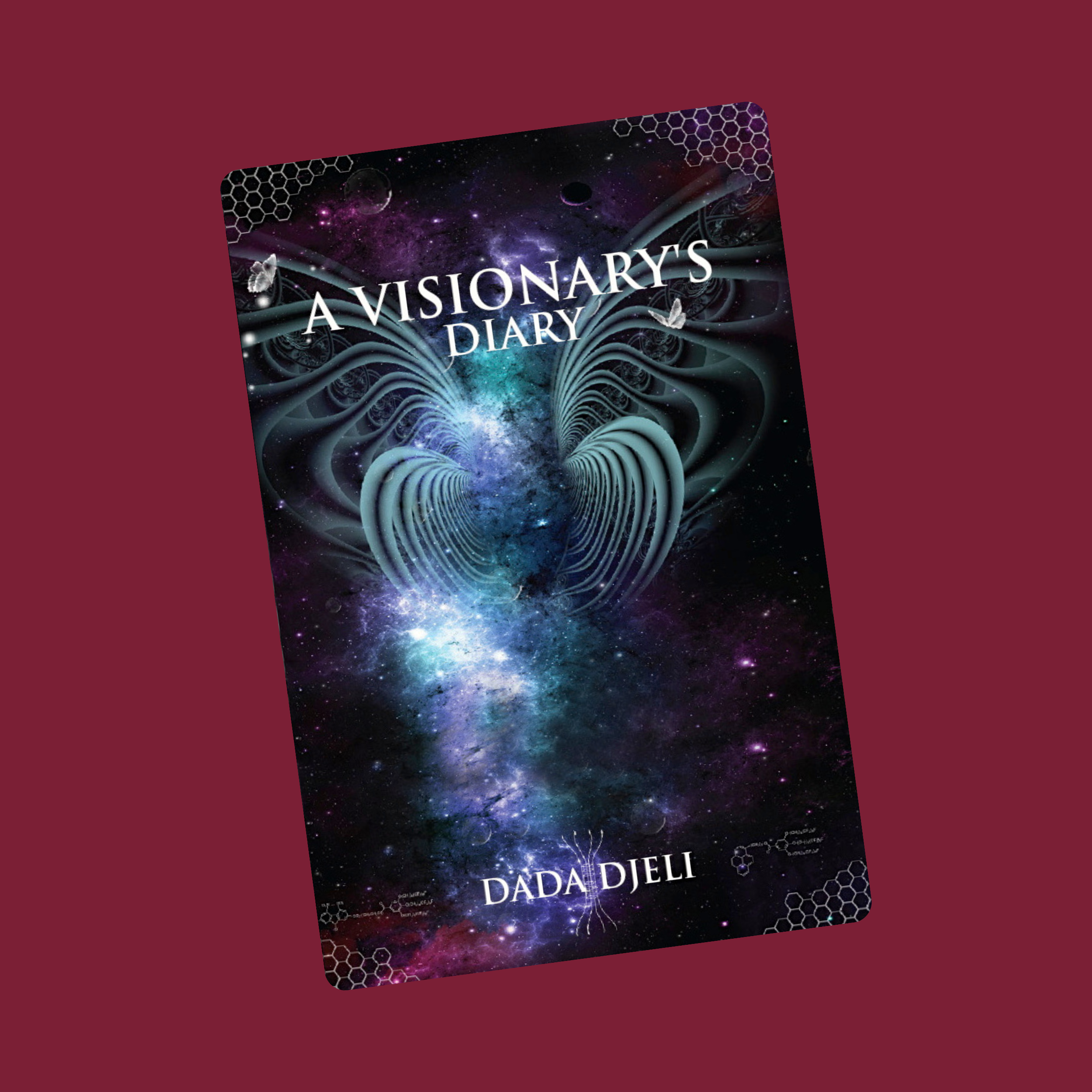 A Visionary's Diary Buchcover